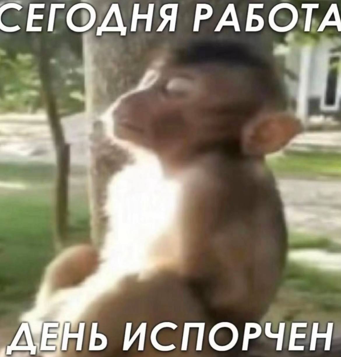 СЕГОДНЯ РАБОТА ИСПОРЧЕН