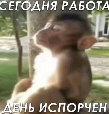 СЕГОДНЯ РАБОТА ИСПОРЧЕН