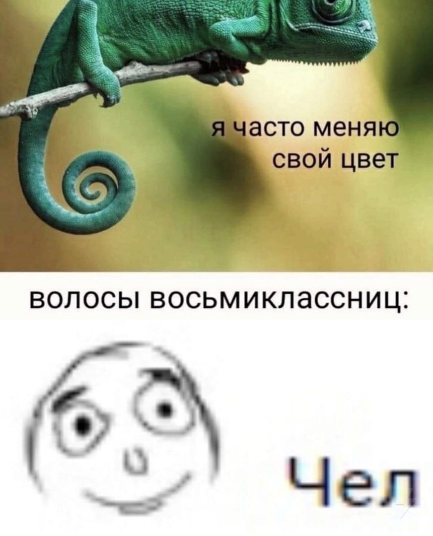асто меняю свой цвет волосы восьмиклассниц: