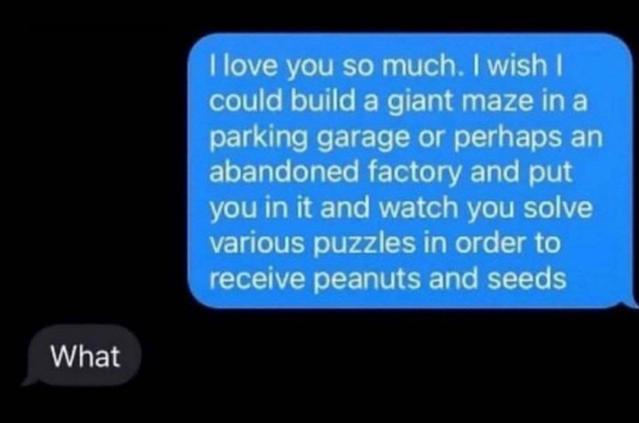 you so much соша buld 3a maze in а рагкша дагаде perhaps an abandoned factory and put and watch you solve in order to pearuts and seeds What