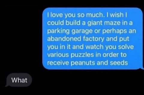 you so much соша buld 3a maze in а рагкша дагаде perhaps an abandoned factory and put and watch you solve in order to pearuts and seeds What