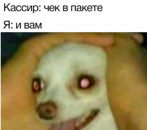 Кассир: чек в пакете Я: и вам