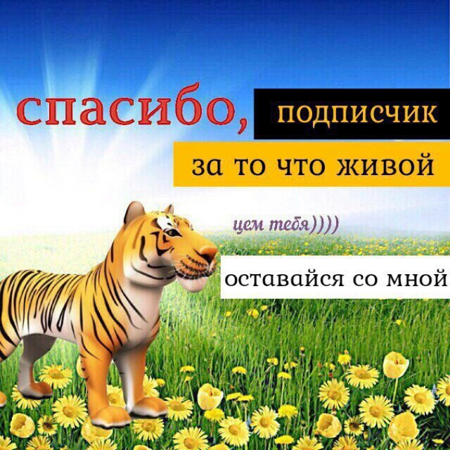спасиоо за то что живой uem meda)))) оставайся мной К 1