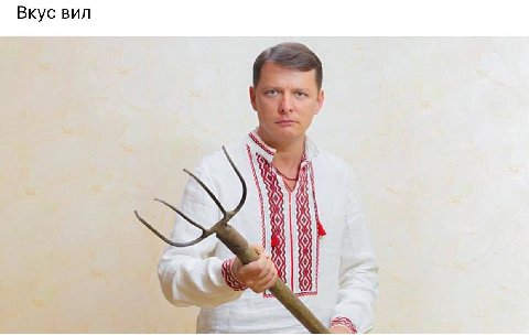 Вкус вил