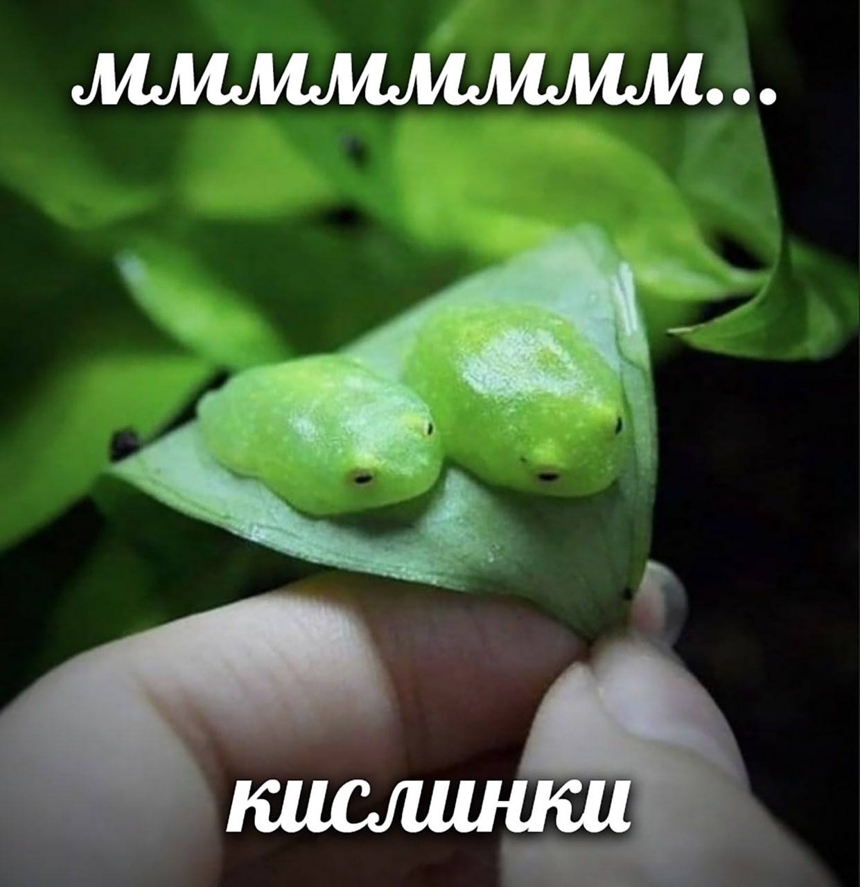 мммммммм