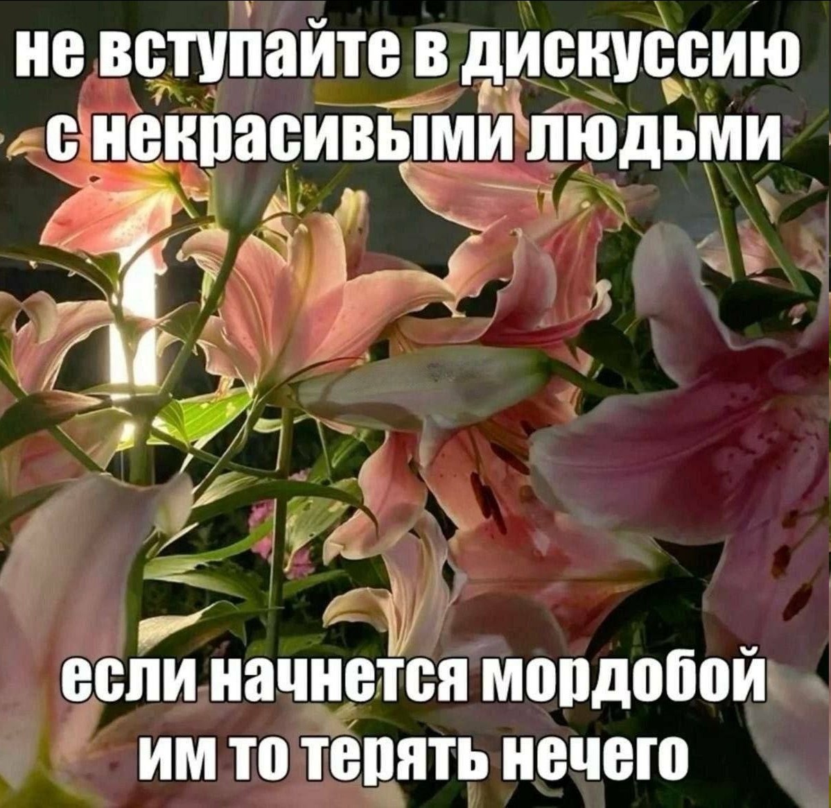 не вступайте в дискуссию снекрасивыми людьми если начнется мордобой то терять нечего