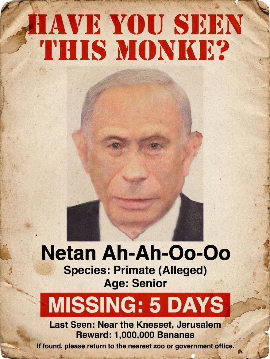 “gay YOU SEEN THIS MONKE? к Меап Species: Primate (Alleged) Age: Senior MISSING: 5 DAYS Last Seen: Near the Knesset, Jerusalem Reward: 1,000,000 Bananas found, please return to the nearest zoo or gove