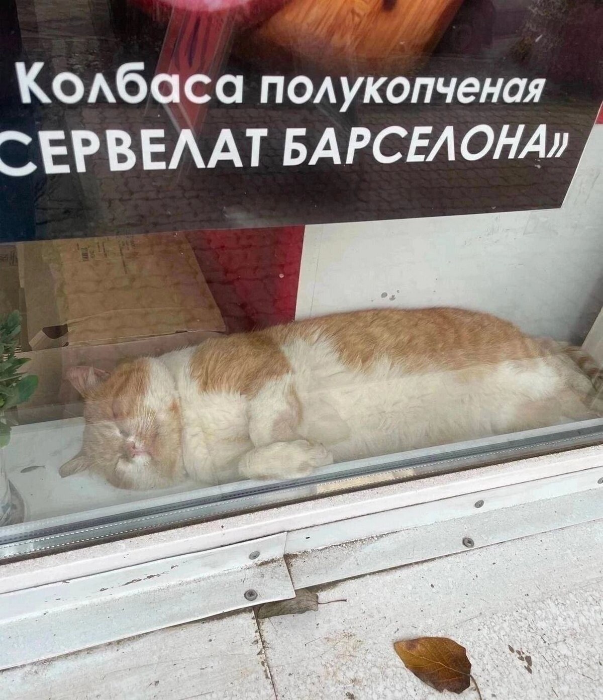 Колбаса полукопченая ЕРВЕЛАТ БАРСЕЛОНА»