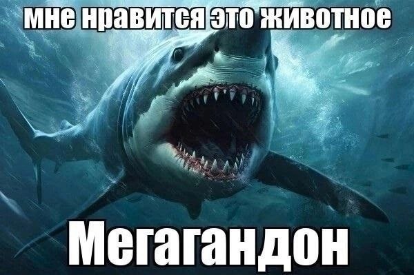 это животное Мегагандон
