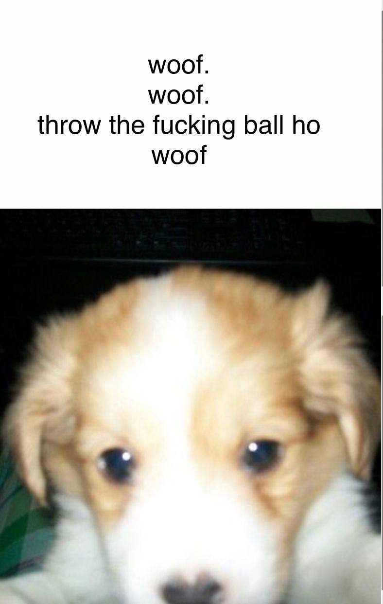 woot. woof. throw the fucking ball woof a