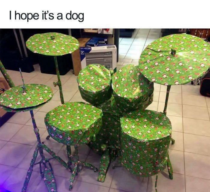 hope it's a dog a at 5 3 a