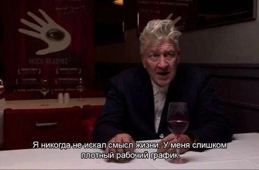 Я никогда не.искал смысл жизни. У меня слишком. плотный рабочий график.