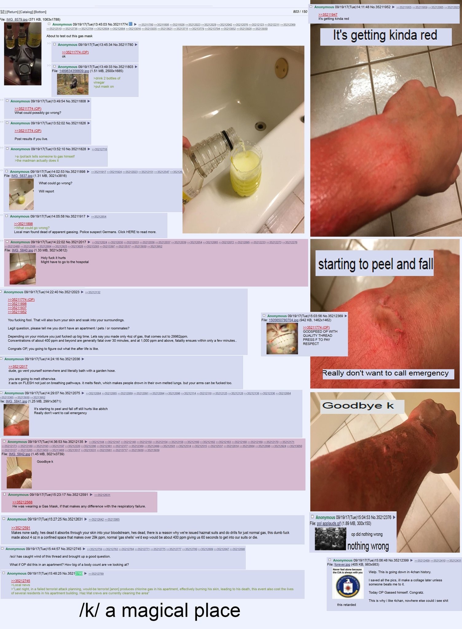 Anonymous 09/19/17(Tue)14:11:48 32] [Bottom] 803/150 Its getting kinda red IMG_8579 jpa (371 О Anonymous 09/19/17(Tue)13:45:03 №.35211774 9 95012060 5535242510 35212004 2995012016 35213035 35213704 ‘A