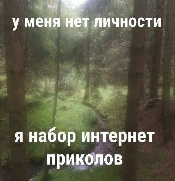 у меня Нет личности я набор интернет приколов
