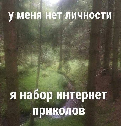 у меня Нет личности я набор интернет приколов