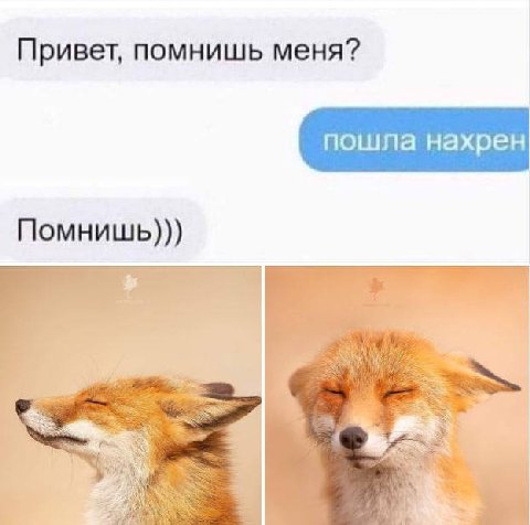 Привет, помнишь меня? Помнишь))) 4
