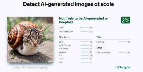 Detect Al-generated images at scale Not likely to Al-generated or за Deepfake о у у Face manipulavon GAN Other Ditfusion Other 7 try urs sightengine