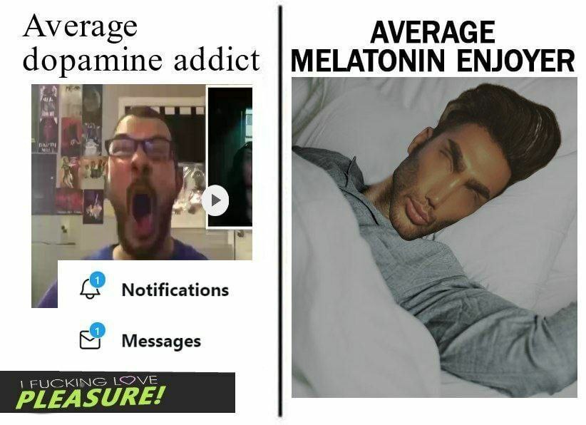 Average dopamine addict MELATONIN ENJOYER Notifications Messages FUC PLEAS SURE!