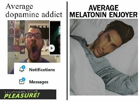 Average dopamine addict MELATONIN ENJOYER Notifications Messages FUC PLEAS SURE!