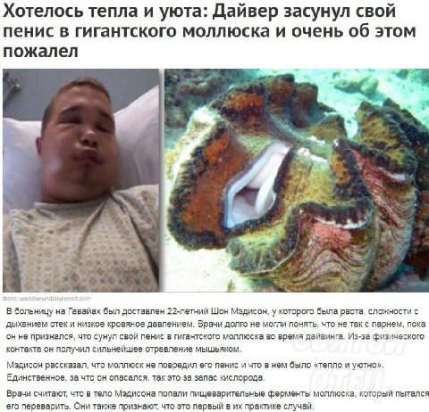 Хотелось тепла и уюта: Дайвер засунул свой пенис в гигантского моллюска и очень об этом пожалел и у i 4 on A В больницу на Гавайах был доставлен 22-летний Шон Мэдисон, у которого была рвота, сложности