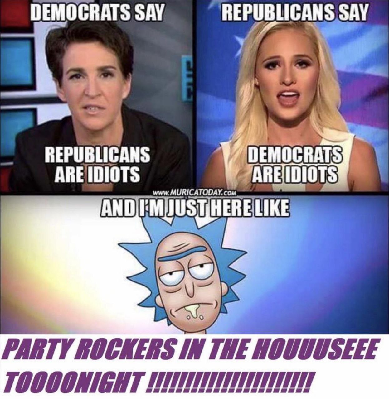 DEMOCRATS SAY REPUBLICANS SAY REPUBLICANS АВЕ IDIOTS Demo CRATS LIKE PARTY ROCKERS IN THE