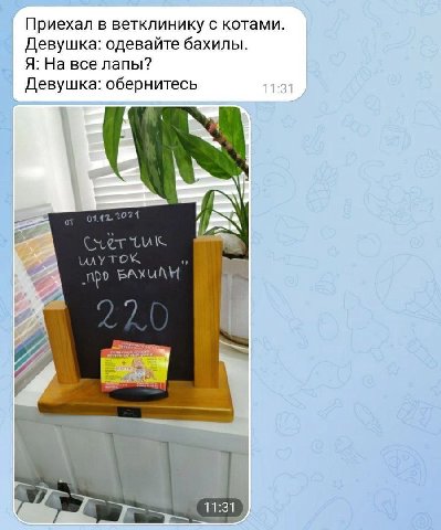 Приехал в ветклинику с котами. Девушка: одевайте бахилы. Я: На все лапы? Девушка: обернитесь UAY TOK ‚про BAY