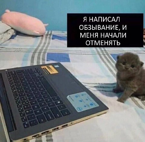 Я НАПИСАЛ ОБЗЫВАНИЕ, И МЕНЯ НАЧАЛИ ОТМЕНЯТЬ
