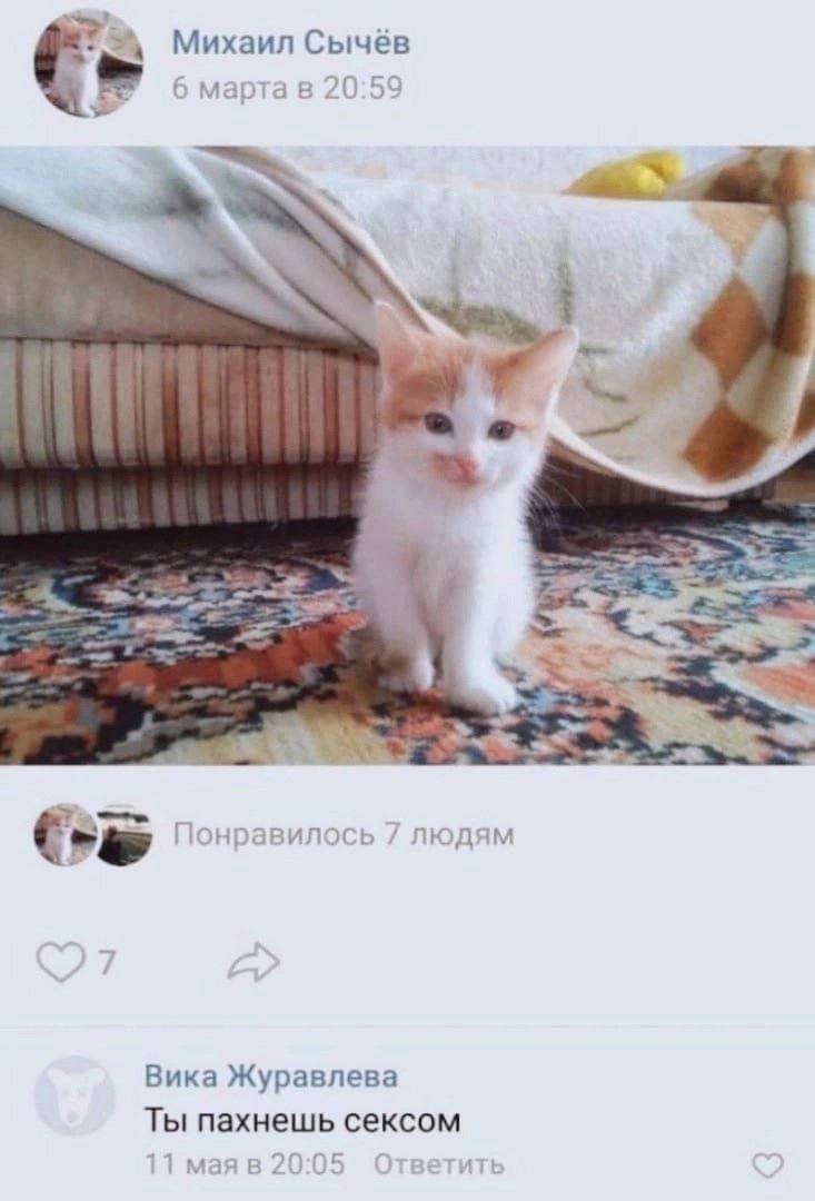 Михаил Сычёв 6 марта в 20:59 у’ 1 Понравилось людям Вика Журавлева Ты пахнешь сексом