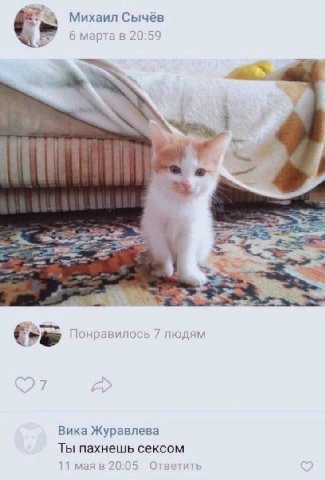 Михаил Сычёв 6 марта в 20:59 у’ 1 Понравилось людям Вика Журавлева Ты пахнешь сексом