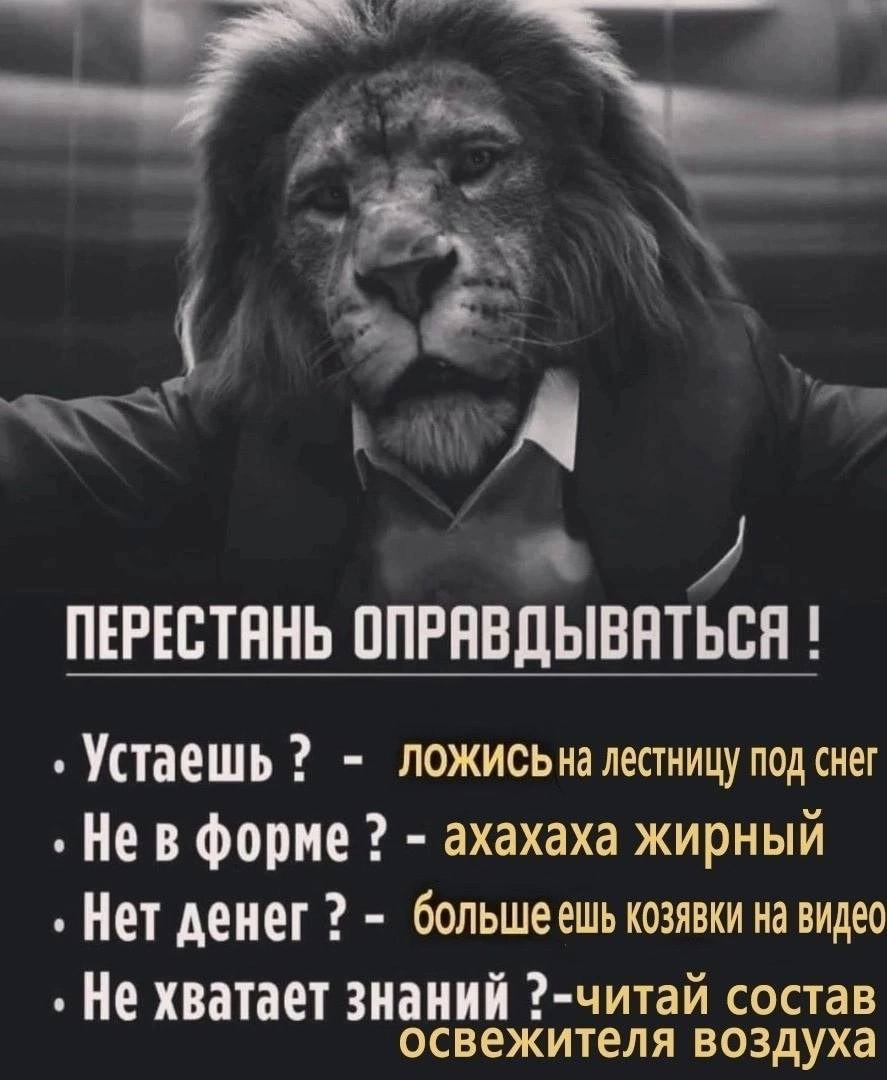 ПЕРЕСТАНЬ ОПРАВДЫВАТЬСЯ Устаешь ложисьна лестницу под снег Нев форме ахахаха жирный Нет денег большеешь козявки на видео Не хватает знаний ?-читай состав освежителя воздуха