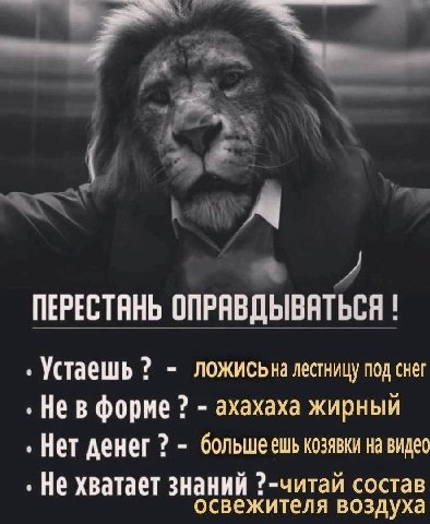 ПЕРЕСТАНЬ ОПРАВДЫВАТЬСЯ Устаешь ложисьна лестницу под снег Нев форме ахахаха жирный Нет денег большеешь козявки на видео Не хватает знаний ?-читай состав освежителя воздуха