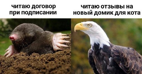 читаю договор читаю отзывы на при подписании новый домик для кота