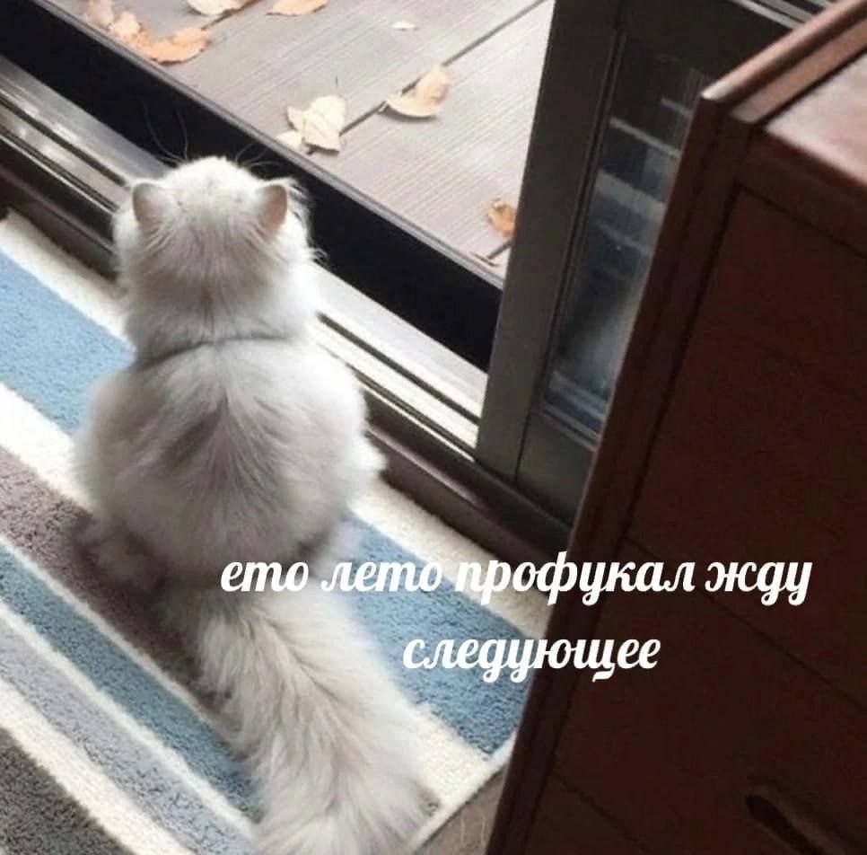 офукал жду следующее