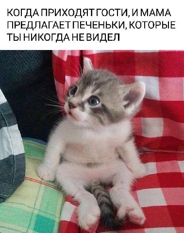 КОГДА ПРИХОДЯТГОСТИ, ИМАМА ПРЕДЛАГАЕТ ПЕЧЕНЬКИ, КОТОРЫЕ ТЫ НИКОГДА НЕВИДЕЛ