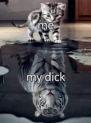 dick