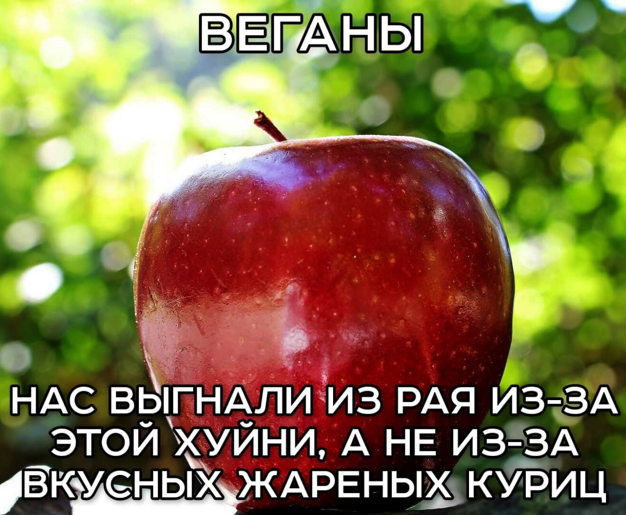 А. НАС ВЫГНАЛИ ИЗ РАЯ ИЗ-ЗА ЭТОИ ХУИНИ, А НЕ ИЗ-ЗА ЖАРЕНЫХ КУРИЦ