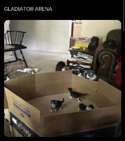 GLADIATOR ARENA