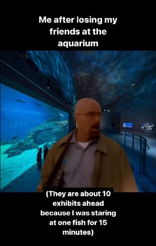 Me after losing friends at the aquarium (They are about 10 exhibits ahead because was staring at one fish for 15 minutes)