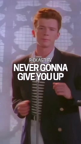 NEVER GONNA