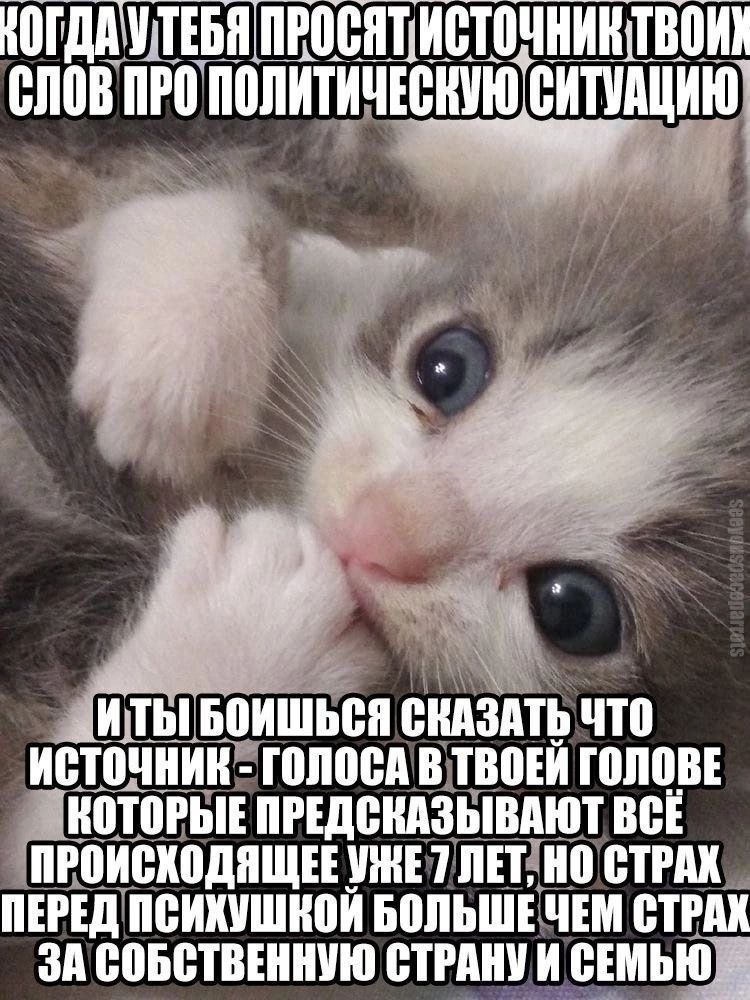 НОГДАУТЕБЯ СЛОВ ПРО ПОЛИТИЧЕСНУЮ СИТУАЦИЮ 2 БОИШЬСЯ СКАЗАТЬ ЧТО ИСТОЧНИК ГОЛОСА В ТВОЕЙ ГОЛОВЕ КОТОРЫЕ ПРЕДСКАЗЫВАЮТ BCE ПРОИСХОДЯЩЕЕ УЖЕ 7 ЛЕТ, НО СТРАХ ПЕРЕД ПСИХУШКОЙ БОЛЬШЕ ЧЕМ СТРАХ ЗА СОБСТВЕННУ