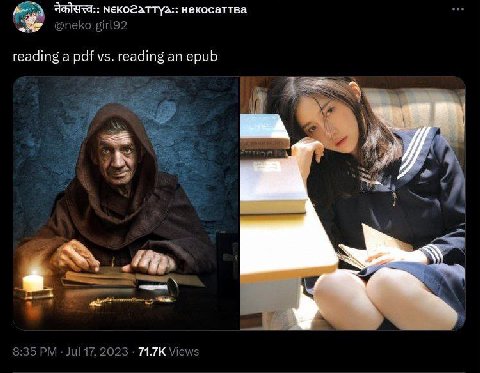 мекогхттул:: некосаттва reading a pdf reading an epub 71.7К
