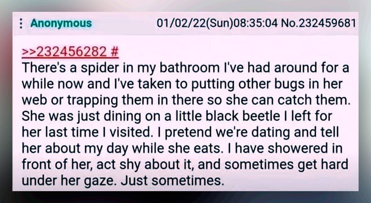 those fucking 4chan terrorists and their.. their.. *check notes* arachnophilia?