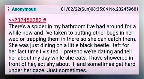 those fucking 4chan terrorists and their.. their.. *check notes* arachnophilia?