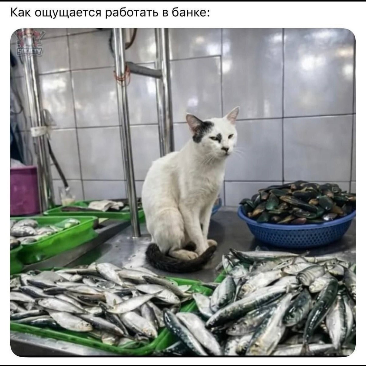 Как ощущается работать в банке: у