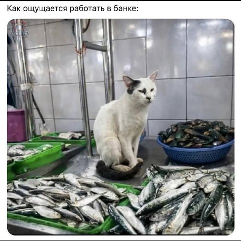 Как ощущается работать в банке: у