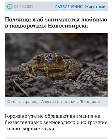 09.05.2021 РАЗВЛЕЧЕНИЯ. Животные Полчища жаб занимаются любовью в подворотнях Новосибирска Фото страницы Алексея Игнатовича "ВКонтакте" Горожане уже не обращают внимания на беззастенчивых земноводных 