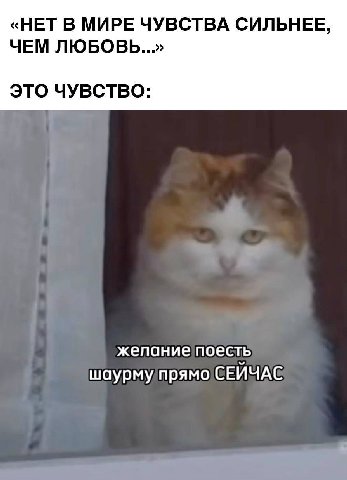 «НЕТ В МИРЕ ЧУВСТВА СИЛЬНЕЕ, ЧЕМ ЛЮБОВЬ...» ЭТО ЧУВСТВО: жепание поесть шаурму прямо СЕЙЧАС