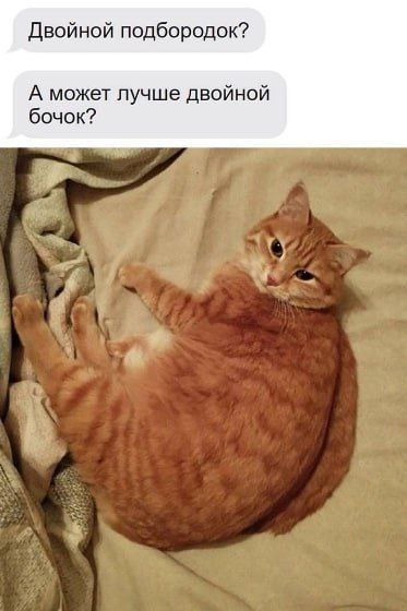 Двойной подбородок? А может лучше двойной бочок?