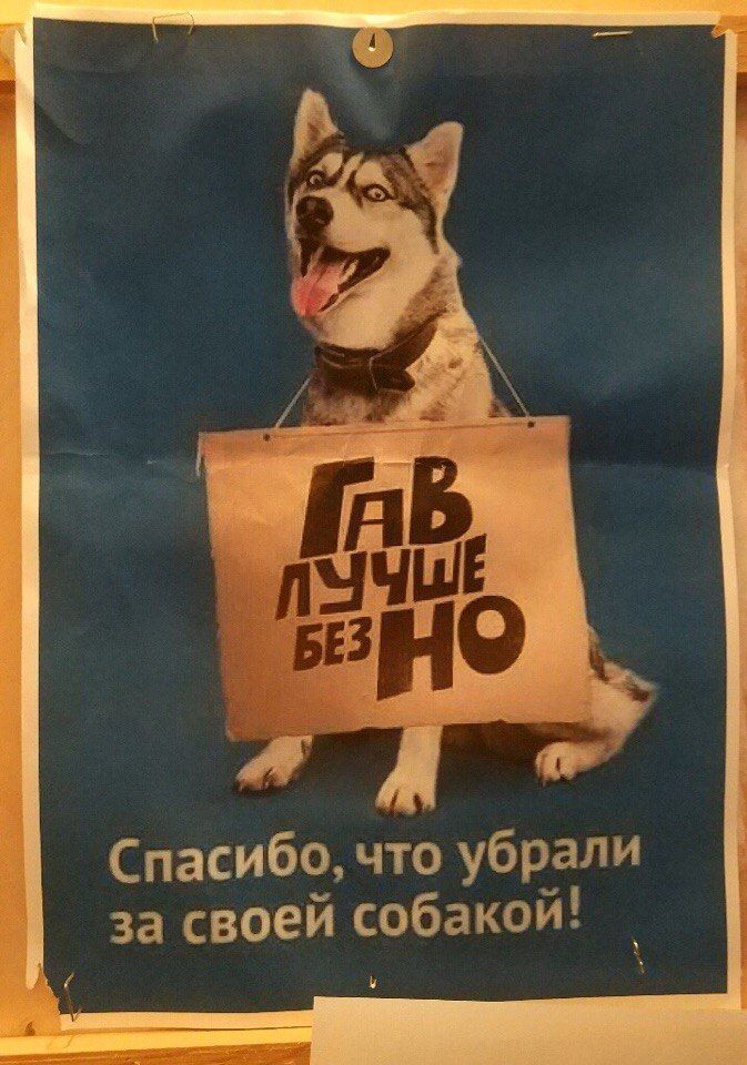 Спасибо, что убрали за своей собакой!