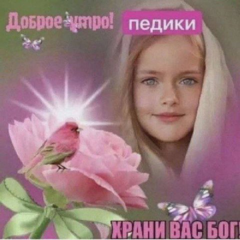 педики a ХРАНИВАС БОГ